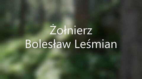 Żołnierz - B.Leśmian