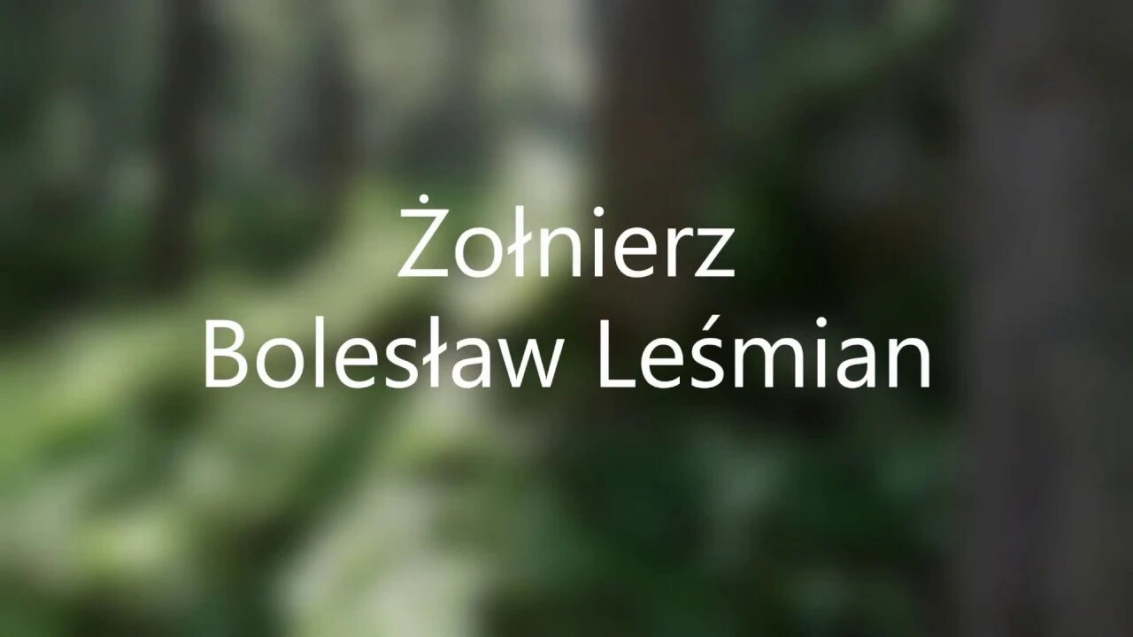 Żołnierz - B.Leśmian