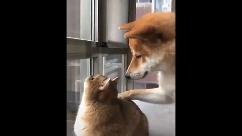 “Come on buddy, it’s not really there, it just bad nip”