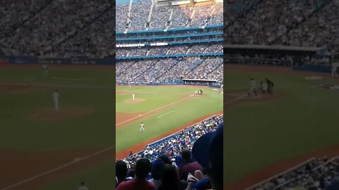 Walking Aaron Judge at Blue Jays Game