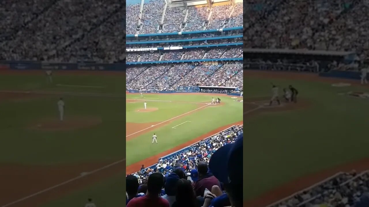 Walking Aaron Judge at Blue Jays Game