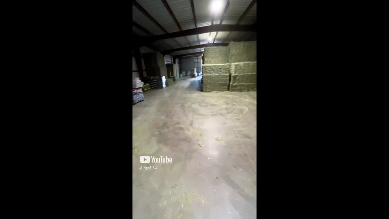 Forklift fun at work #funny #fails #satisfying #short #music #forklift #fails #osha #parkour