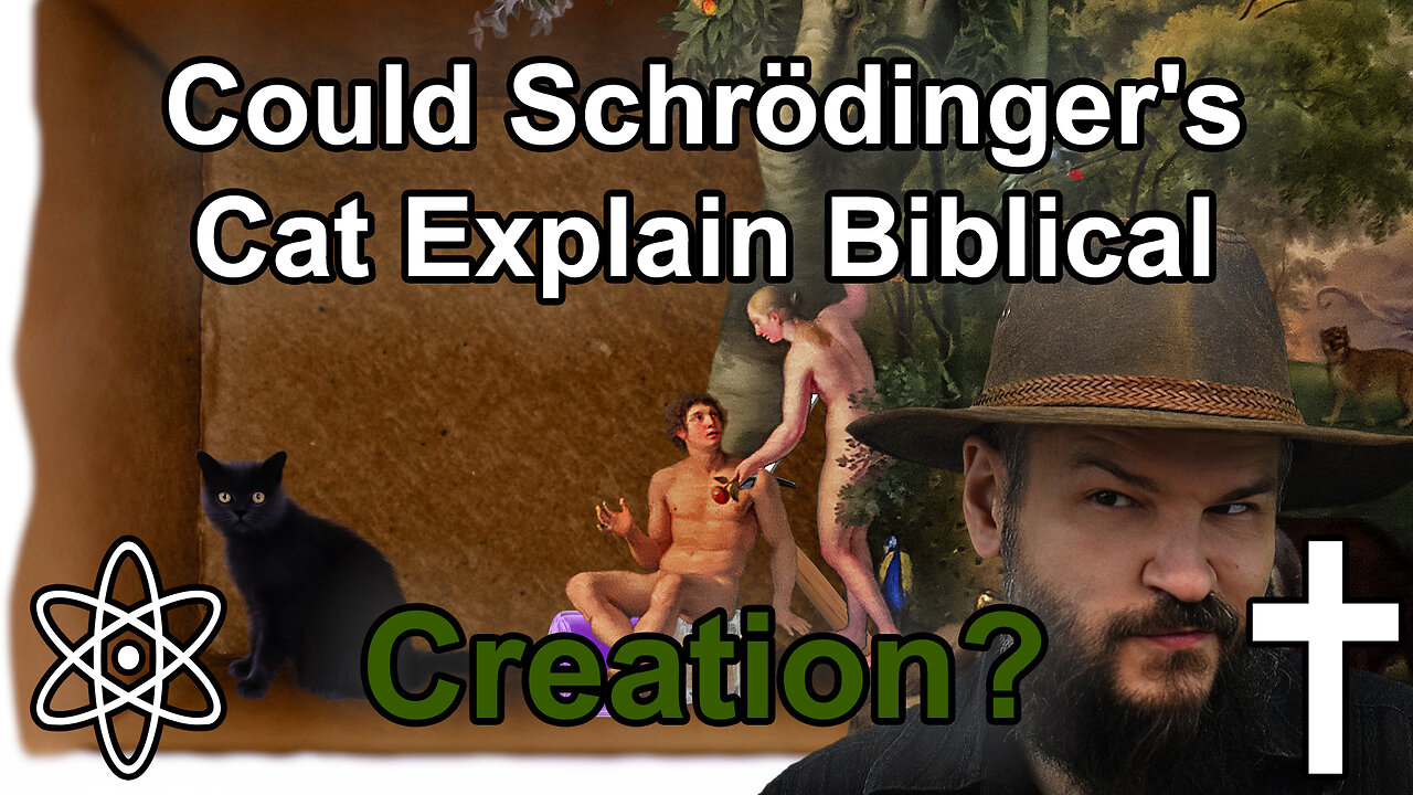 Could Schrödinger's Cat Reconcile Creationism and Darwinism?|✝⚛