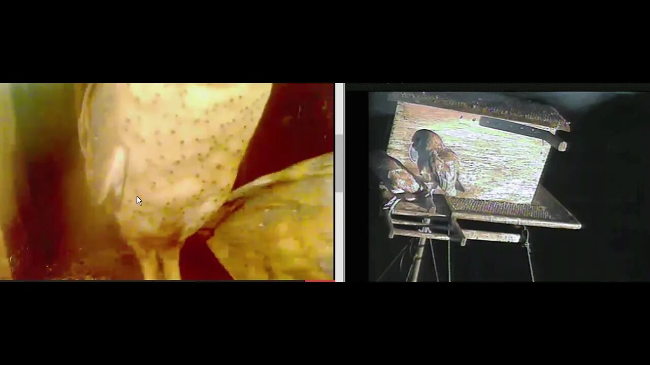 The beginning of Thursday night at the Kastle 5-14-20