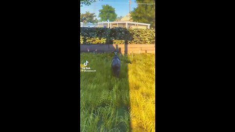 Goat simulator