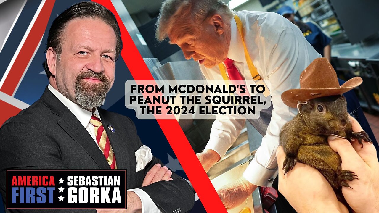 From McDonald's to Peanut the Squirrel, the 2024 election. Raz0rfist with Sebastian Gorka