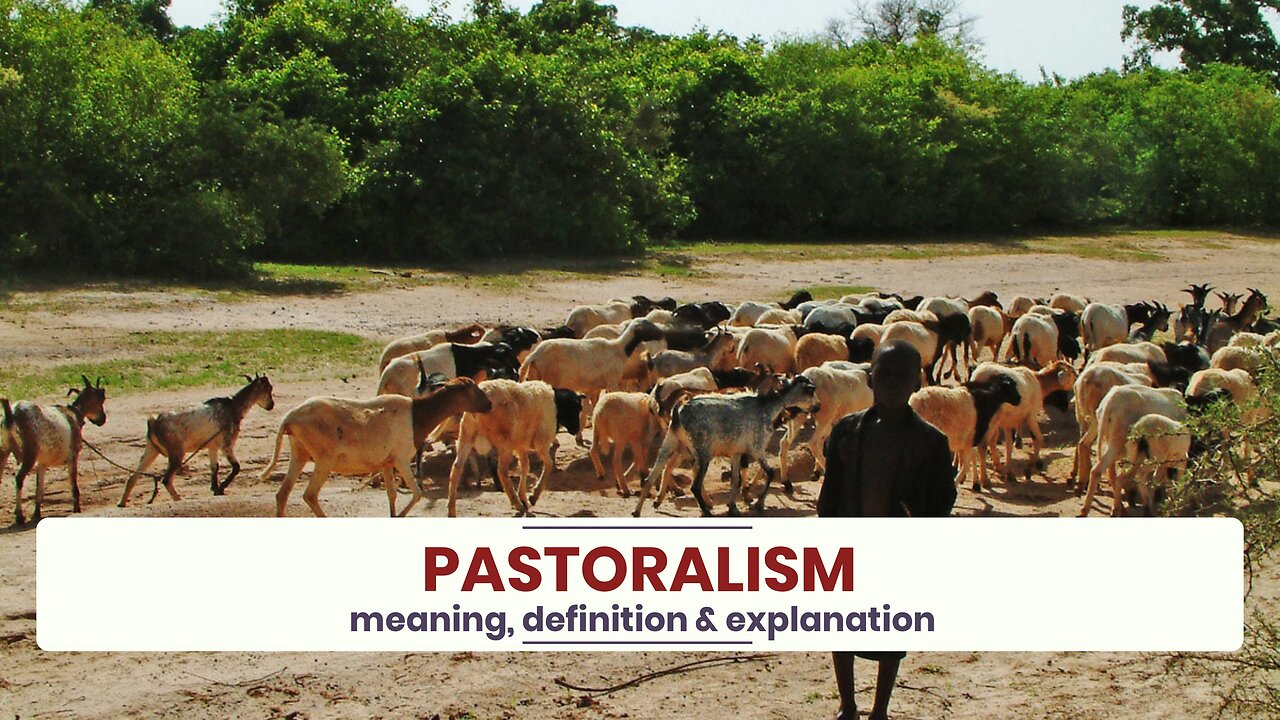 What is PASTORALISM?