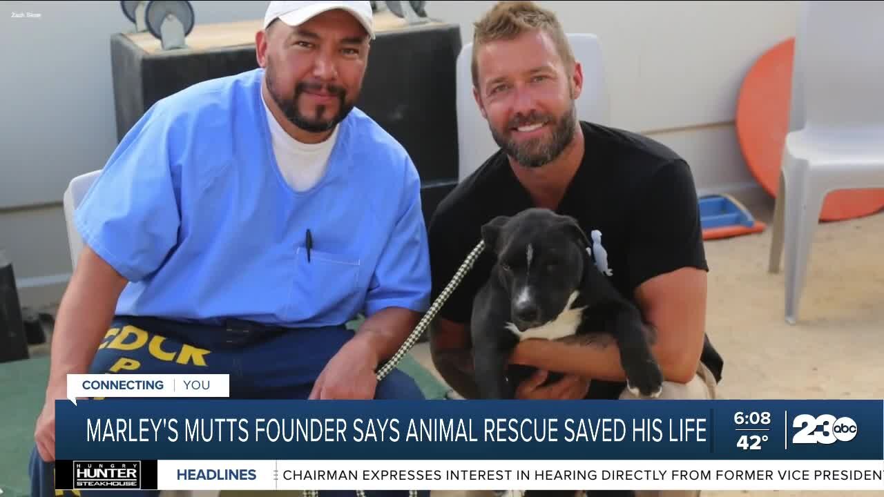 Marley's Mutts founder reflects on how animal rescue led him to sobriety