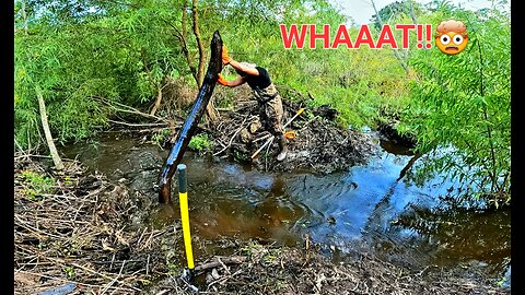 Snake Got Me On The Run! 🏃‍♂️ || BEAVER DAM REMOVAL In Gator Creek! S3 EP. 11!