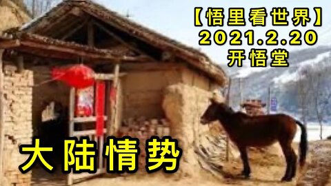 KWT1128大陆情势20210220-9【悟里看世界】