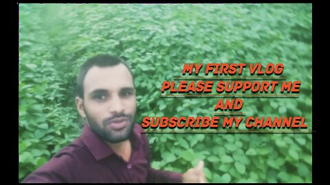 My first Vlog 🙏please Support ❤ and subscribe my channel