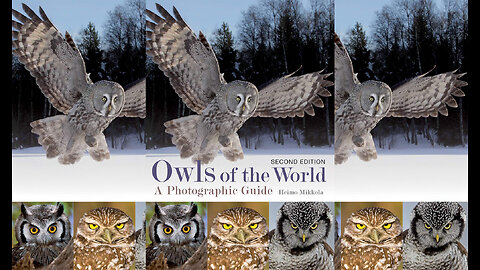 Owls of the World: A Photographic Guide