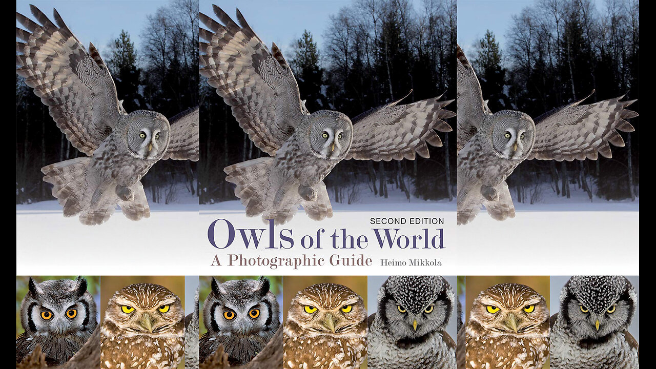 Owls of the World: A Photographic Guide