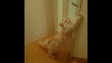 Closed Doors = No Problem