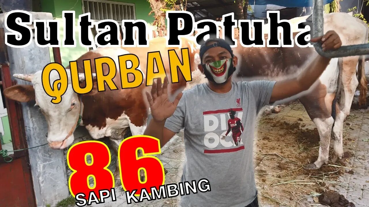 Pelaksanaan Qurban Dengan Protokol Kesehatan 2020 | Idul Adha 1441 H