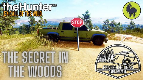 The Secret in the Woods, Cuatro Colinas | theHunter: Call of the Wild (PS5 4K)