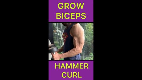 HAMMER CURL #shorts #youtubeshorts