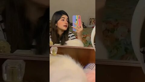 Zoya Cat video #cat #shorts