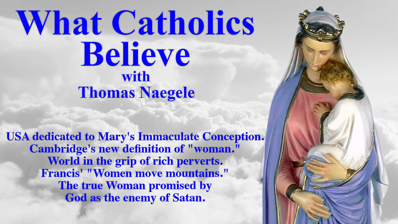 USA dedicated to Mary's Immaculate Conception. Cambridge's new definition of "woman." World in the grip of rich perverts. Francis' "Women move mountains." The true Woman promised by God as the enemy of Satan