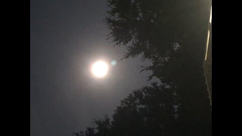 The Moon in all its Glory