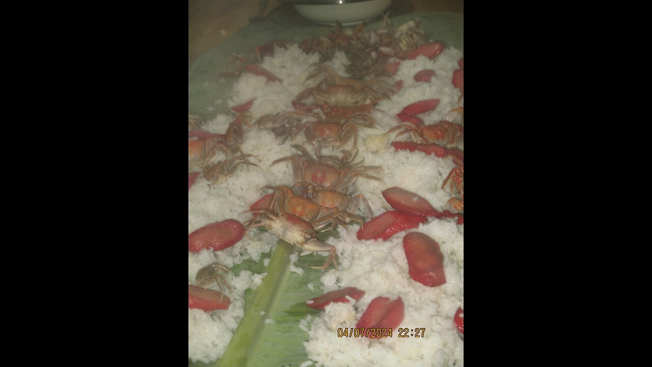 a life with these people is sheeshableeeee!!!