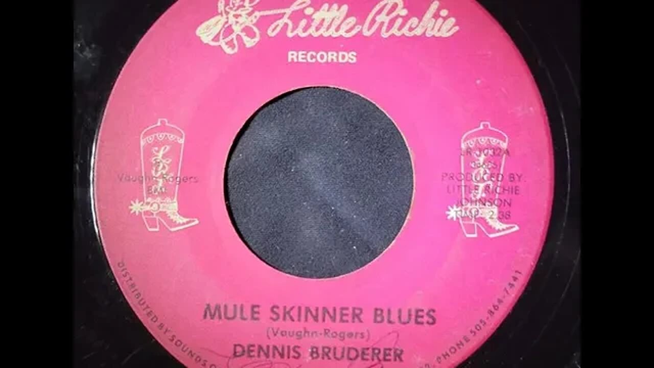 Dennis Bruderer – Mule Skinner Blues