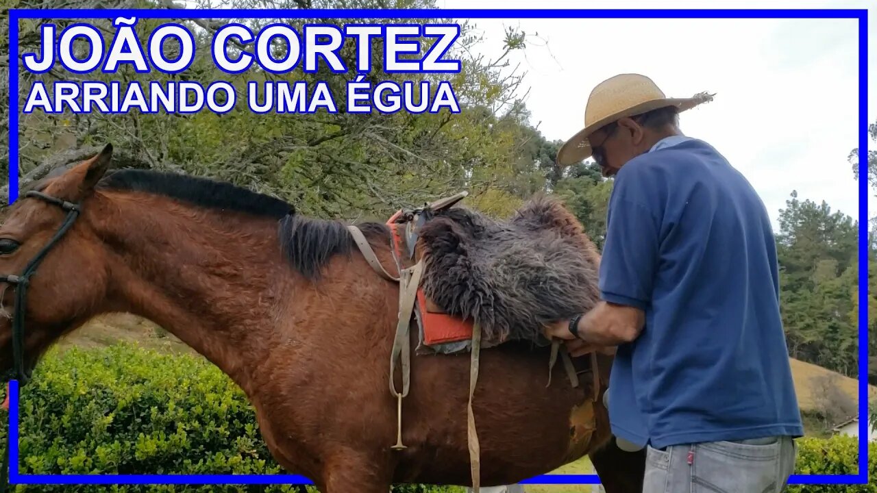 João Cortez Pessoa com deficiência visual "Cego" arriando uma égua em Minas Gerais