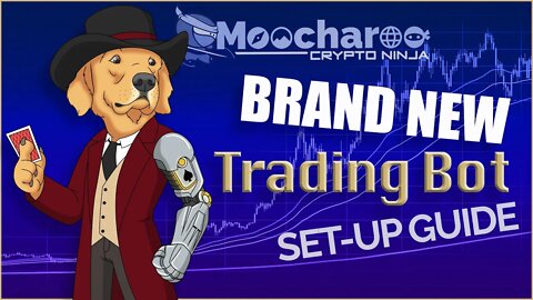 Brand NEW Moocharoo Trading Bot SET UP GUIDE