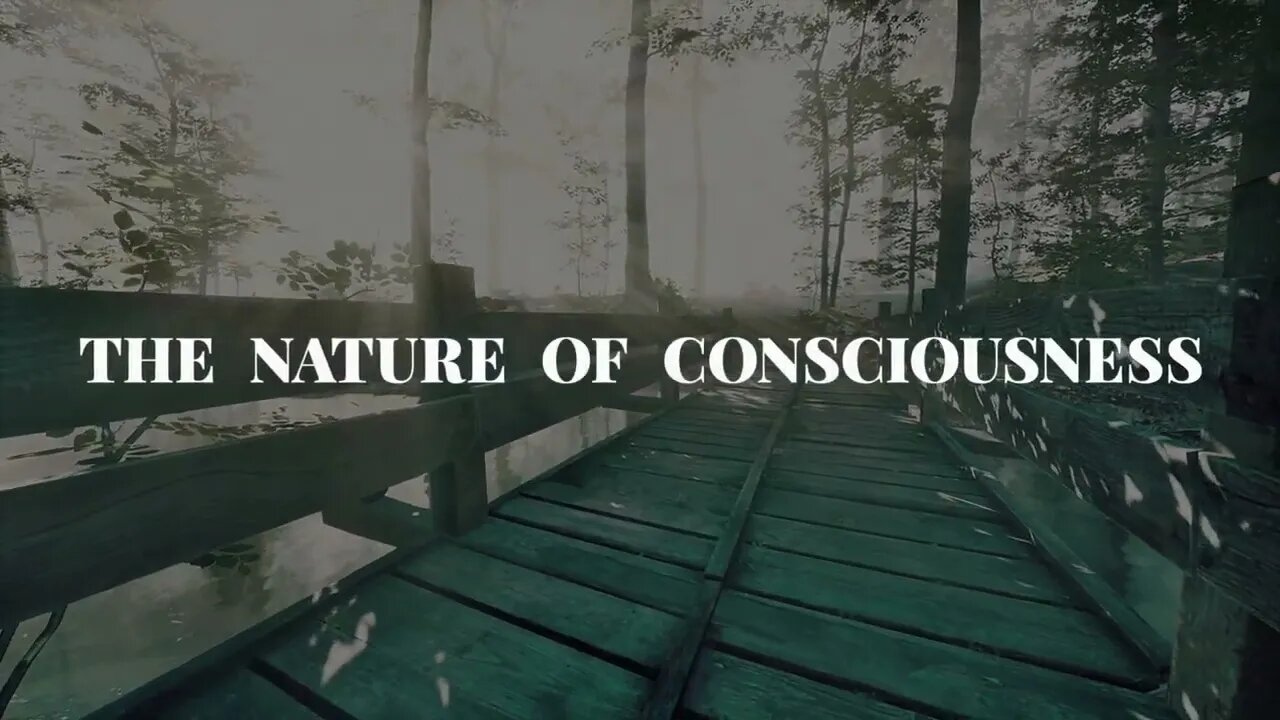 The Great Awakening & The Nature Of Consciousness (Earth Chronicles Intro)