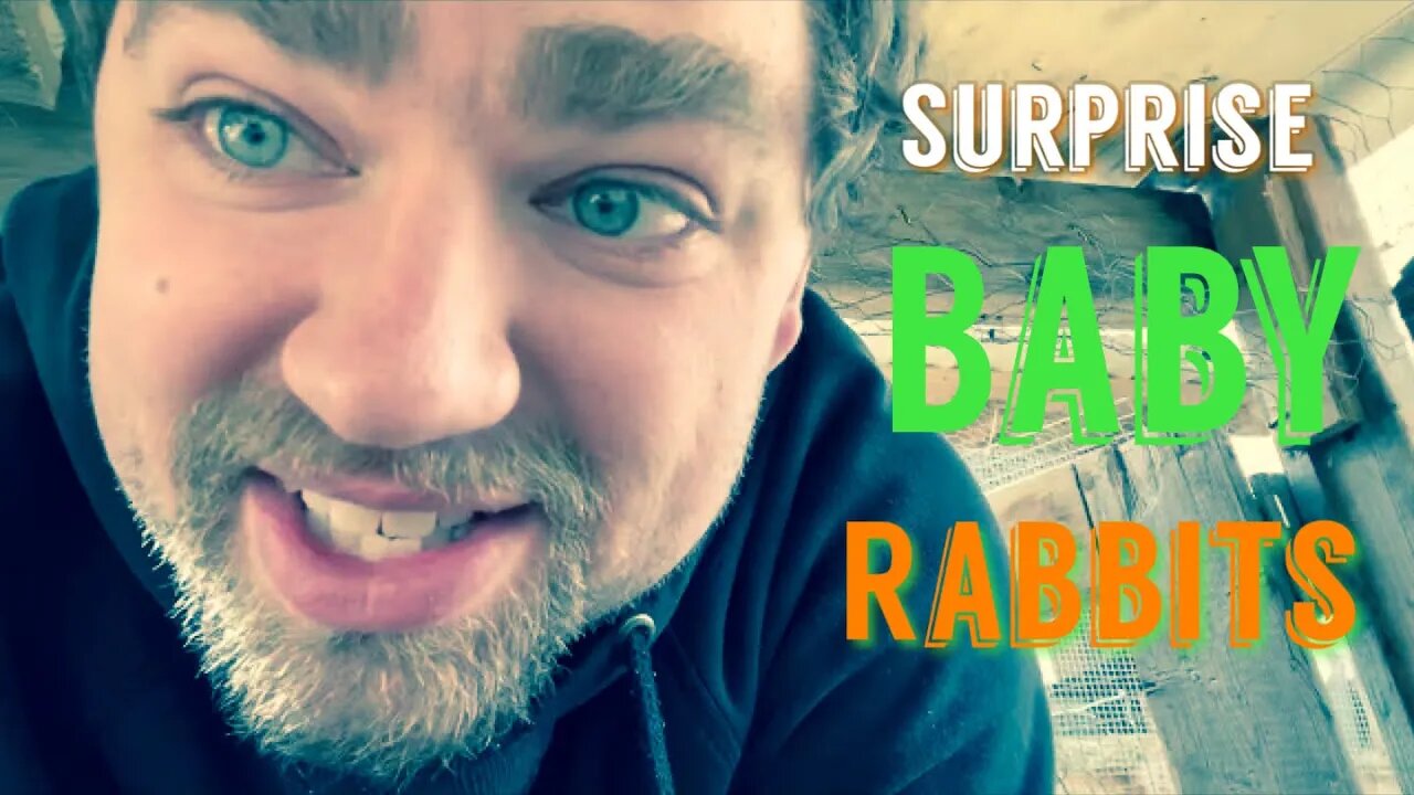 Surprise Baby Rabbits | Sovereign Provisions