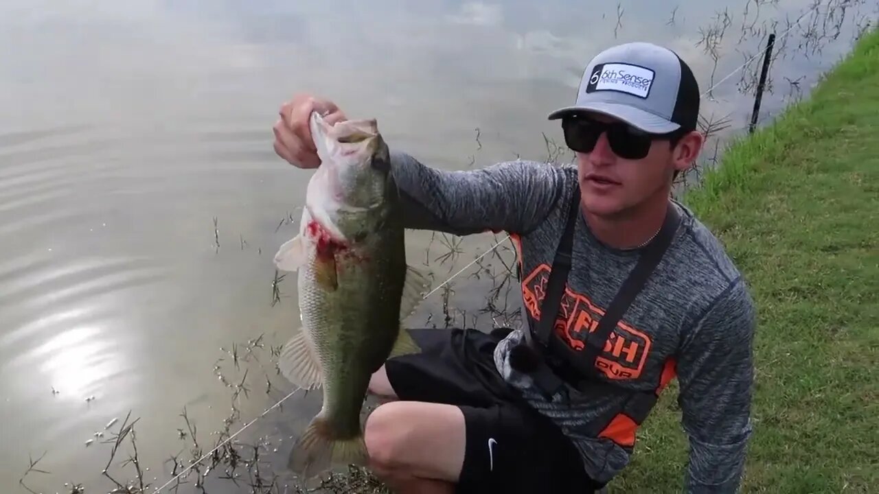 Catching ( GIANT Bass in SMALL Ponds ) Bed Fishing