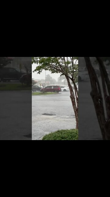 The WEATHER outside is WEATHER: Tropical Storm Fred