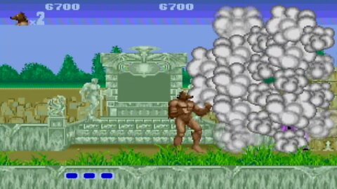 My Japanese Video Game Collection 066 Altered Beast