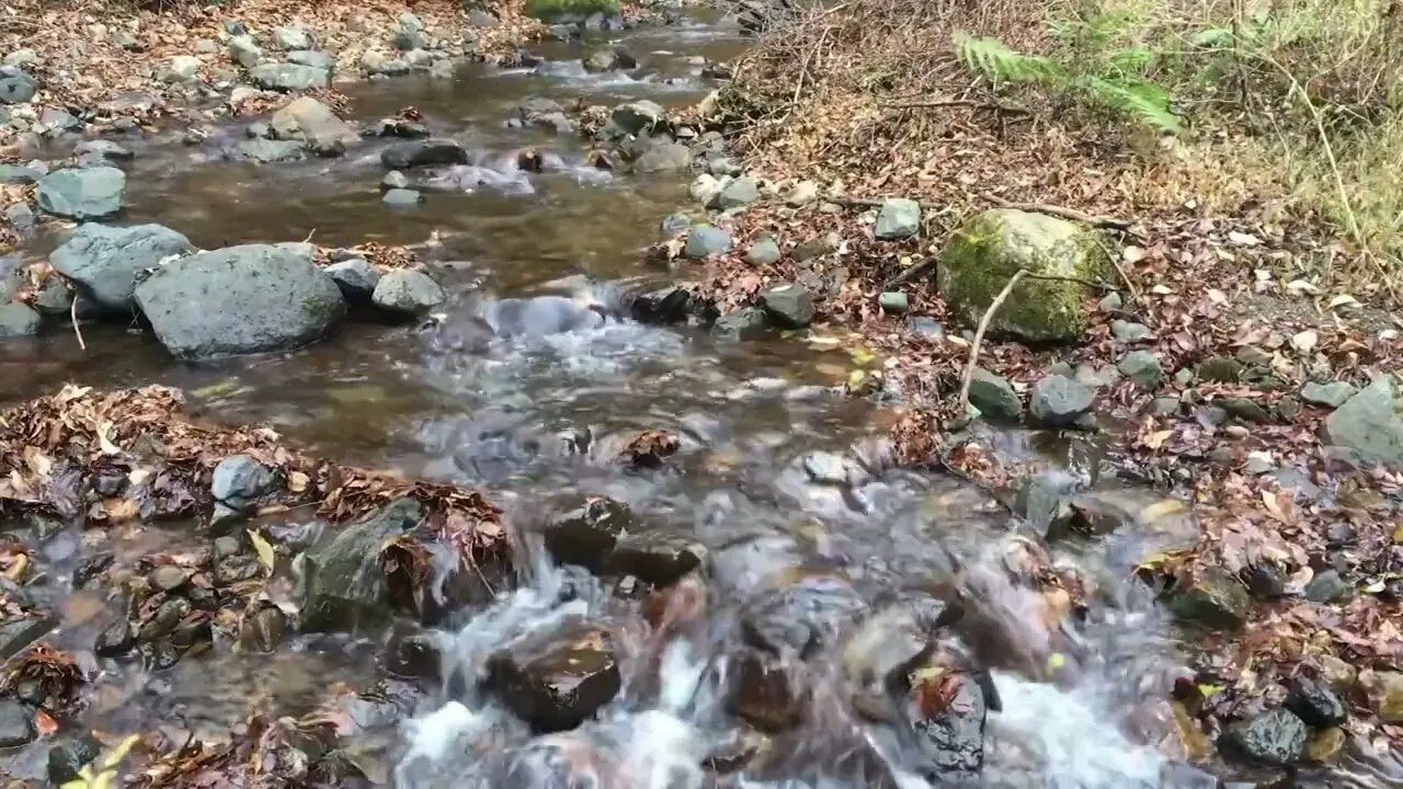 NATURAL Creek Sound River Water Flow Real Sound for Sleep Meditate 4 hours #sleep #river #creek