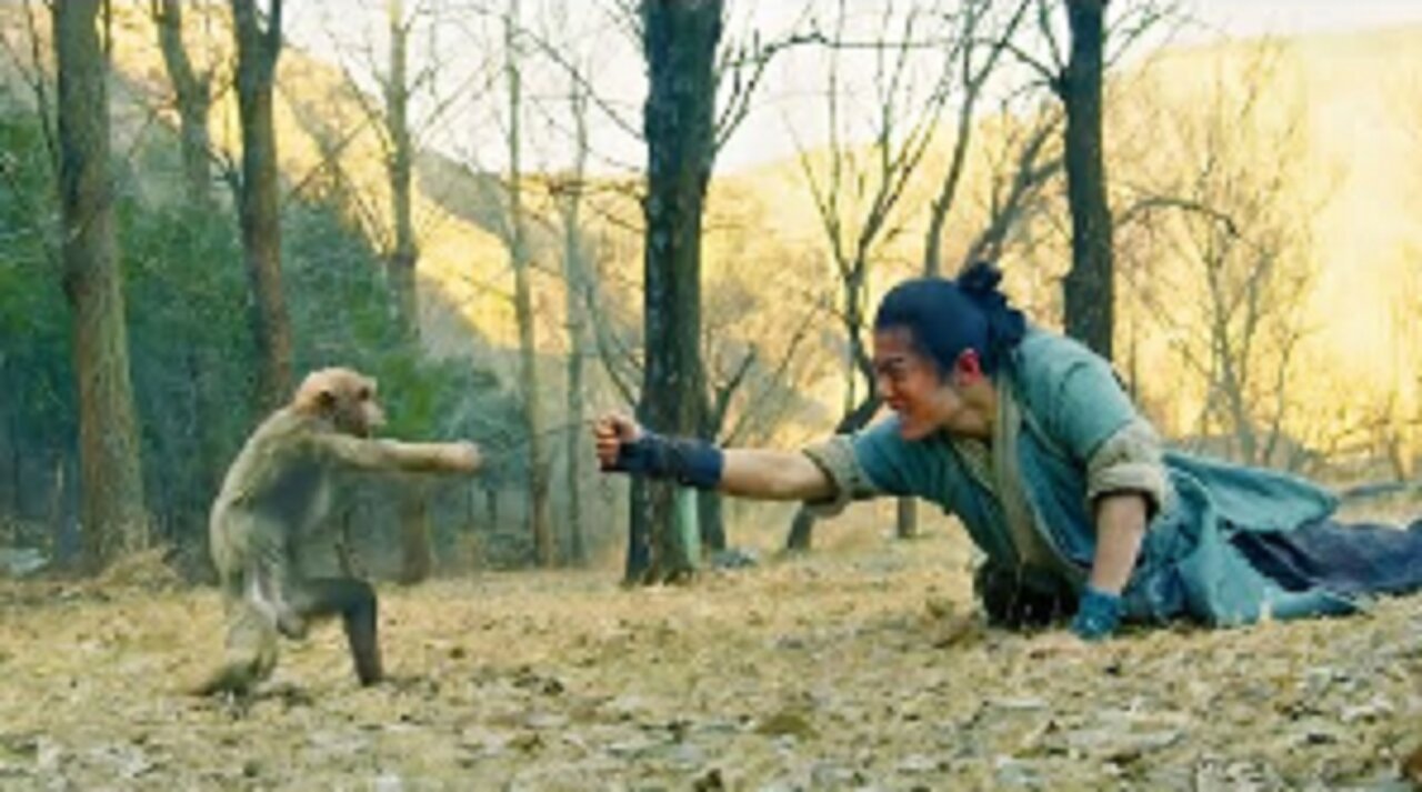 Monkey Saves Life Of A Dying Man & Trains Him To Become Unbeatable
