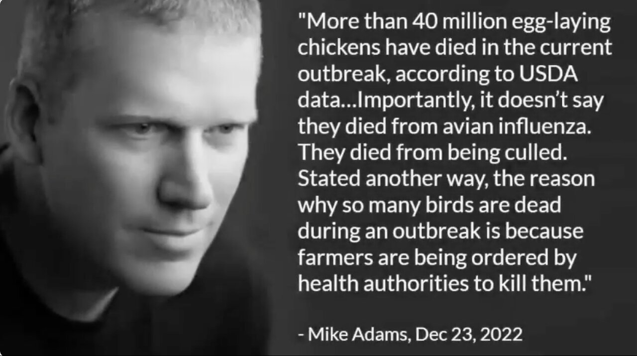 Avian Flu - Taking Away Your Chickens Dr. Sam Bailey