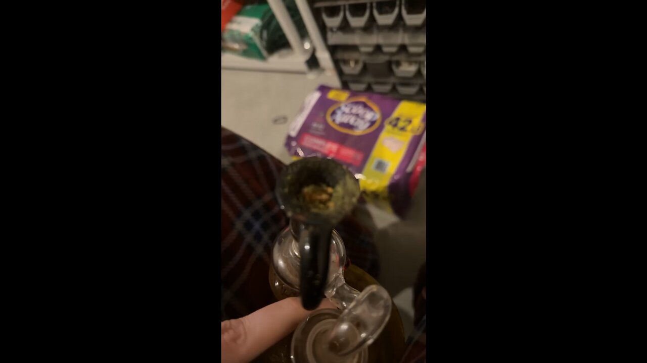 Day 18 pt3 My cats lay around with their arm’s just hanging