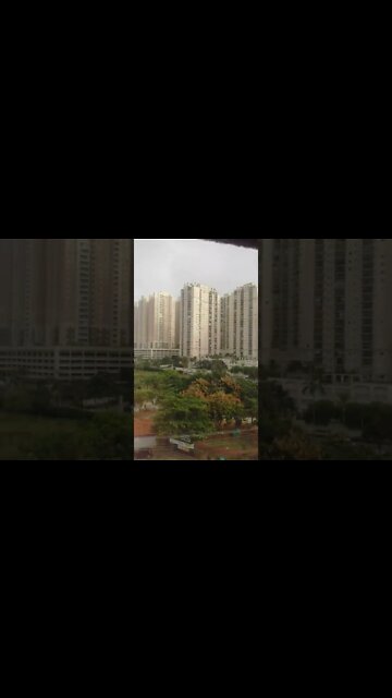 no parque dom jose #shorts