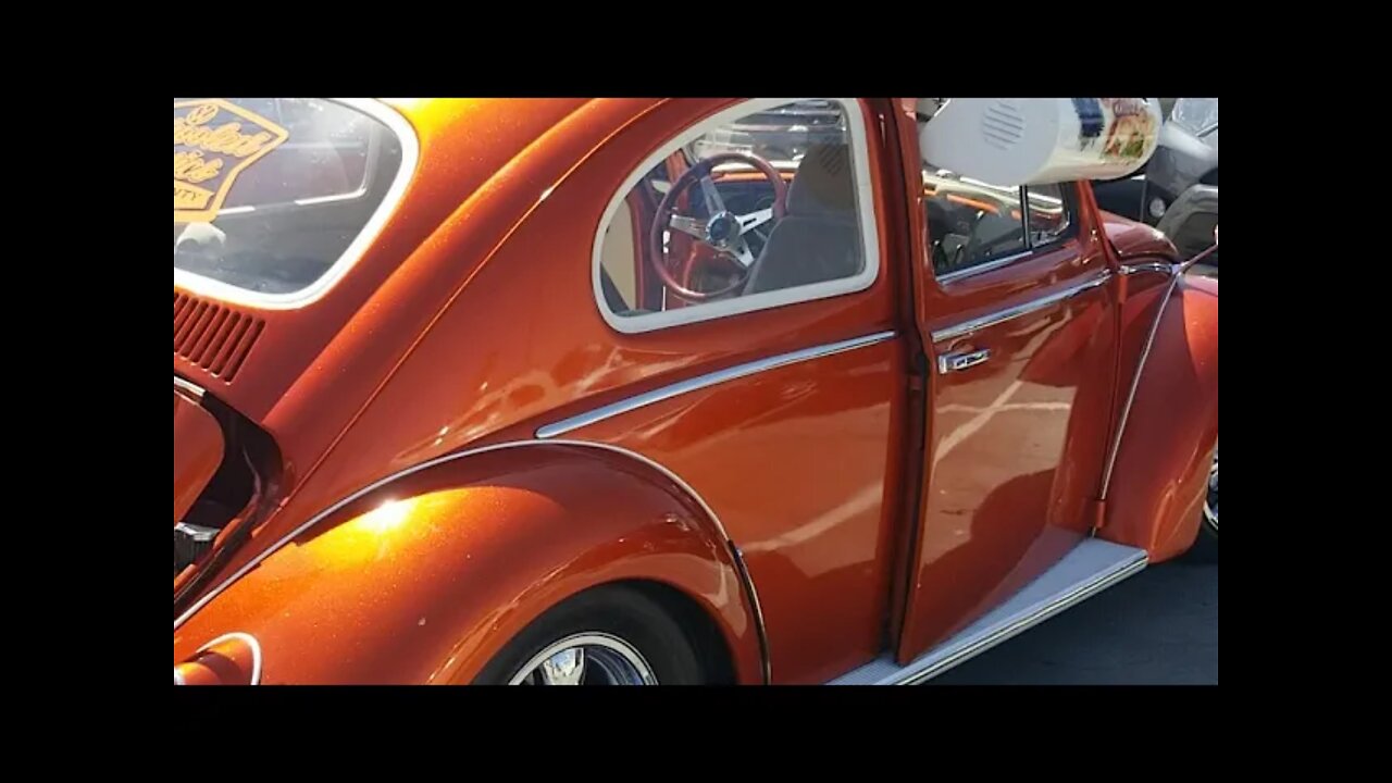 Hug bug or Slug bug?