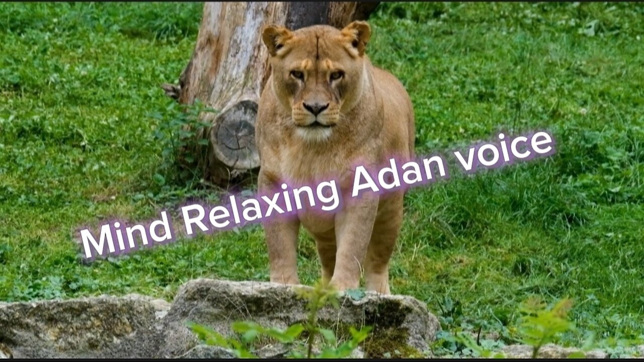 Mind relaxing Adan | peace of mind voice