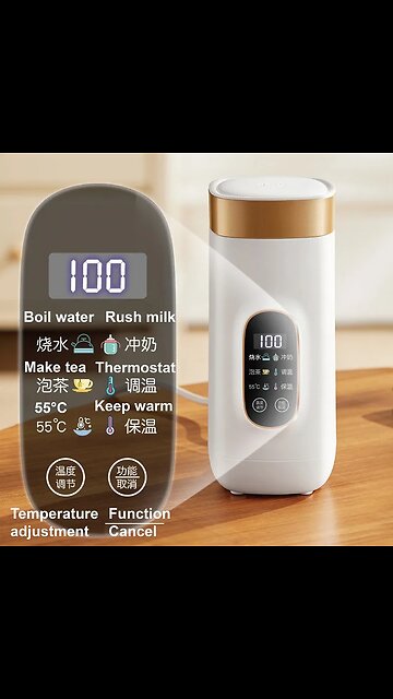 220V Electric Kettle Health Preserving Pot Portable Travel Boiled Water Pot Smart Teapot Heating Cup