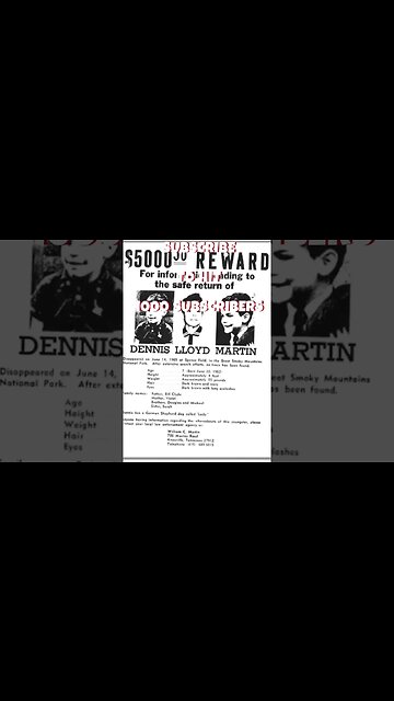 The Haunting Disappearance of Dennis Martin #story #truecrime #truestories #shorts