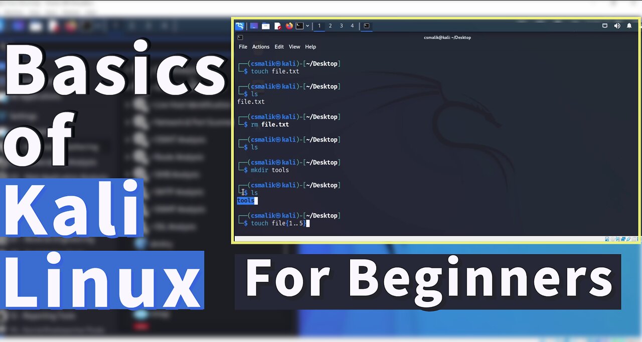 Kali Linux Tutorial For Beginners