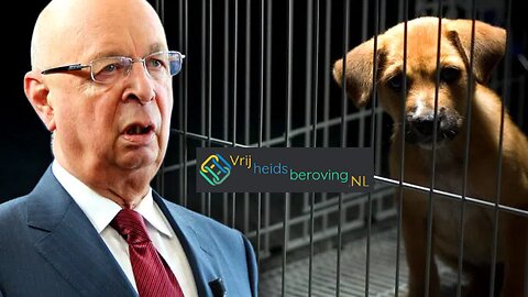 Het WEF wil miljoenen katten en honden afslachten om klimaatverandering tegen te gaan.