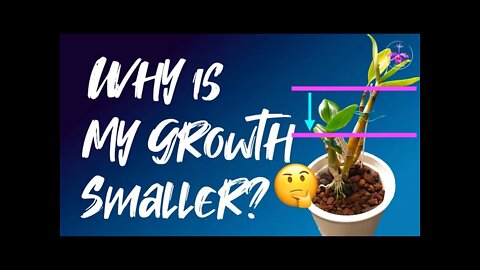 10+ reasons as to WHY your NEW GROWTHS are so SMALL | What to watch out for and understand 👍🏼