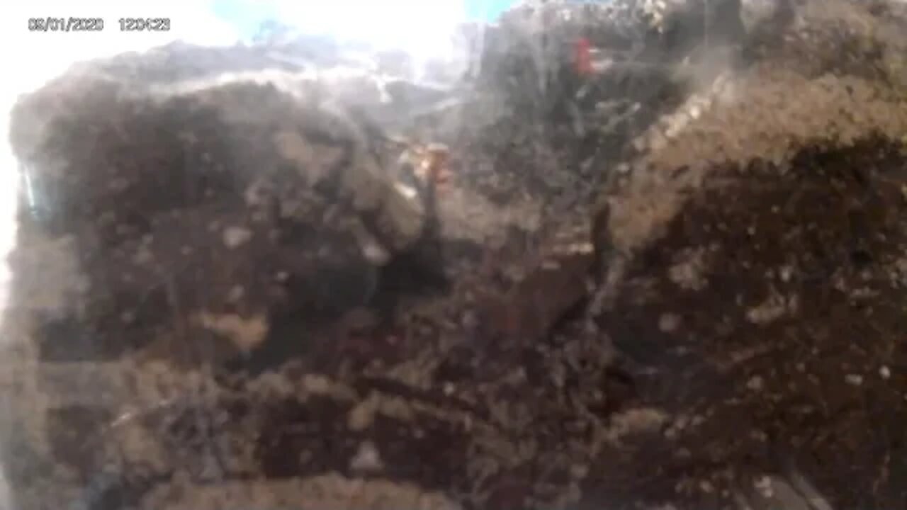 Up date on ant farm #5