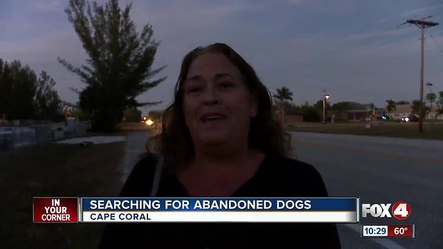 Three Cape Coral Women Search for Abandoned Dog