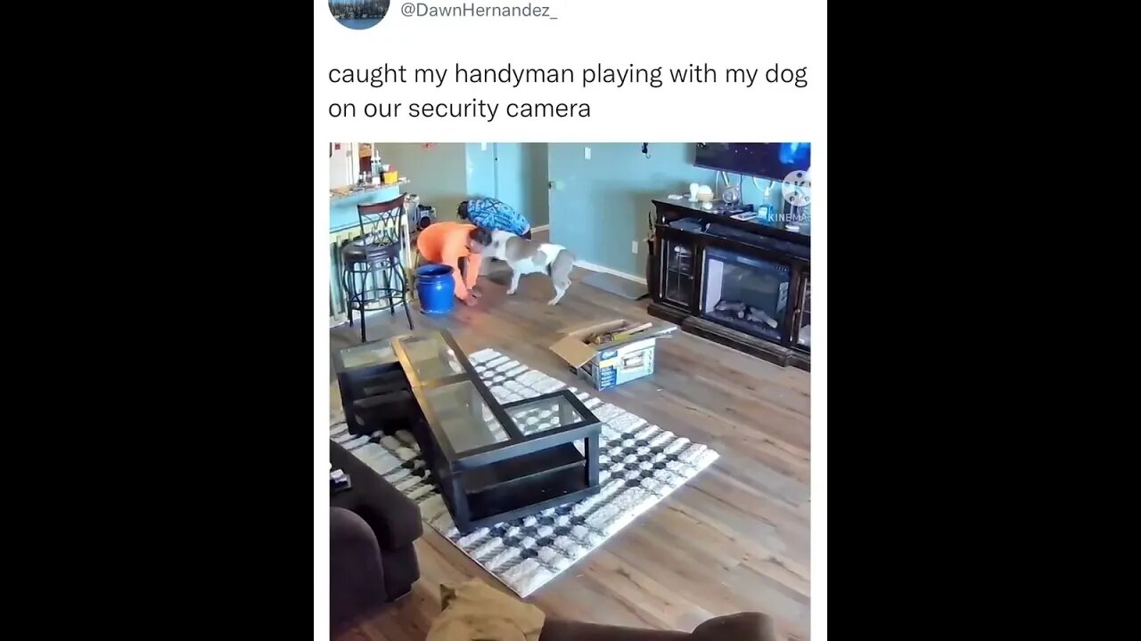 A cute handyman plays with a dog 😍