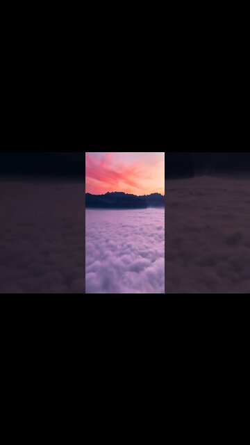 music- TOAST Jay Someday | calm #shorts #shortsvideo #music #calm #relaxsation