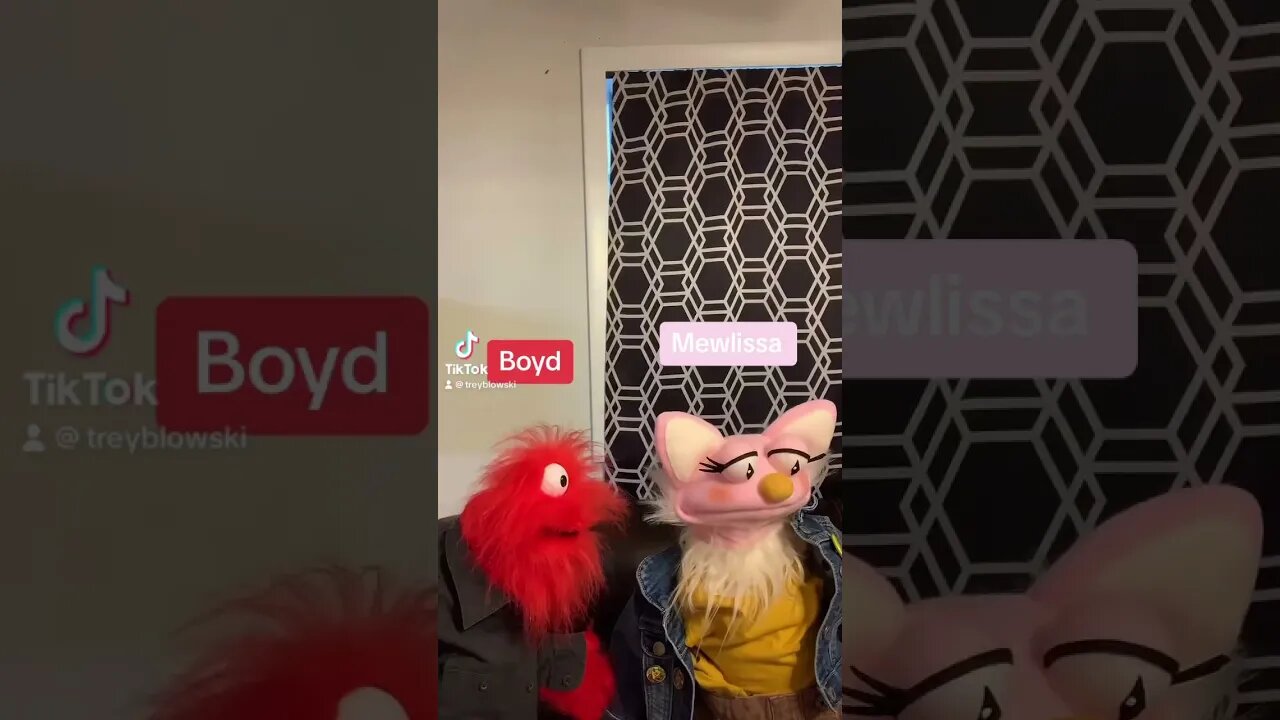 More new puppets